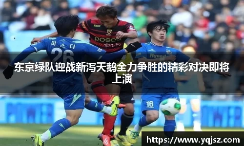 东京绿队迎战新泻天鹅全力争胜的精彩对决即将上演