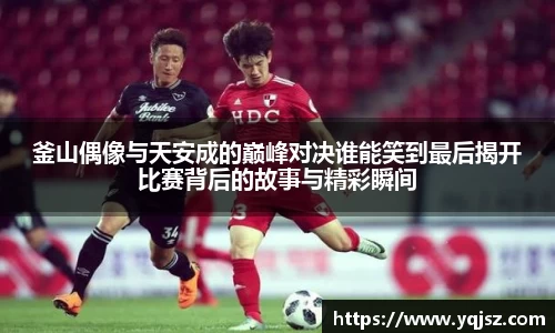 天博官网入口首页