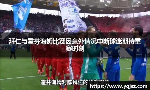 拜仁与霍芬海姆比赛因意外情况中断球迷期待重赛时刻