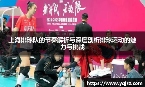 上海排球队的节奏解析与深度剖析排球运动的魅力与挑战